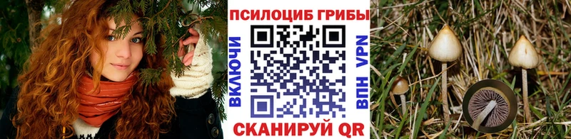 Галлюциногенные грибы MAGIC MUSHROOMS  Купить где  Отрадное 